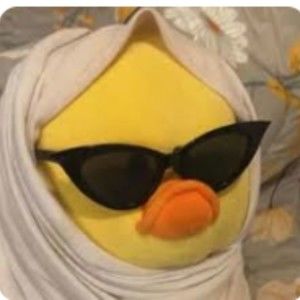 Meet your Posher, Levi